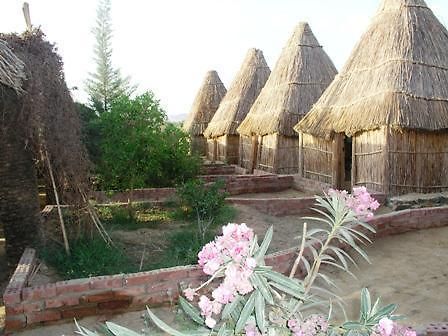 Отель Badry Sahara Camp Бауити Номер фото